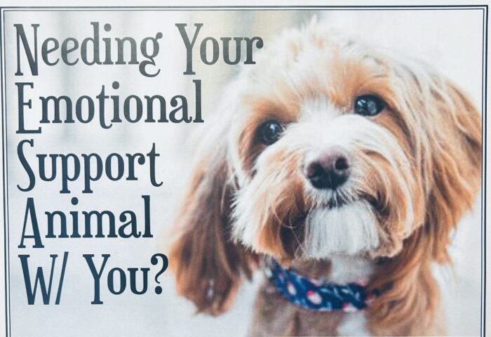 For eligible people who need their emotional support animal to accompany them at/away from home, Call Elaine Lustig PhD, Licensed Psychotherapist & Board Certified PTSD Clinician for a consultation. (303) 369-7770